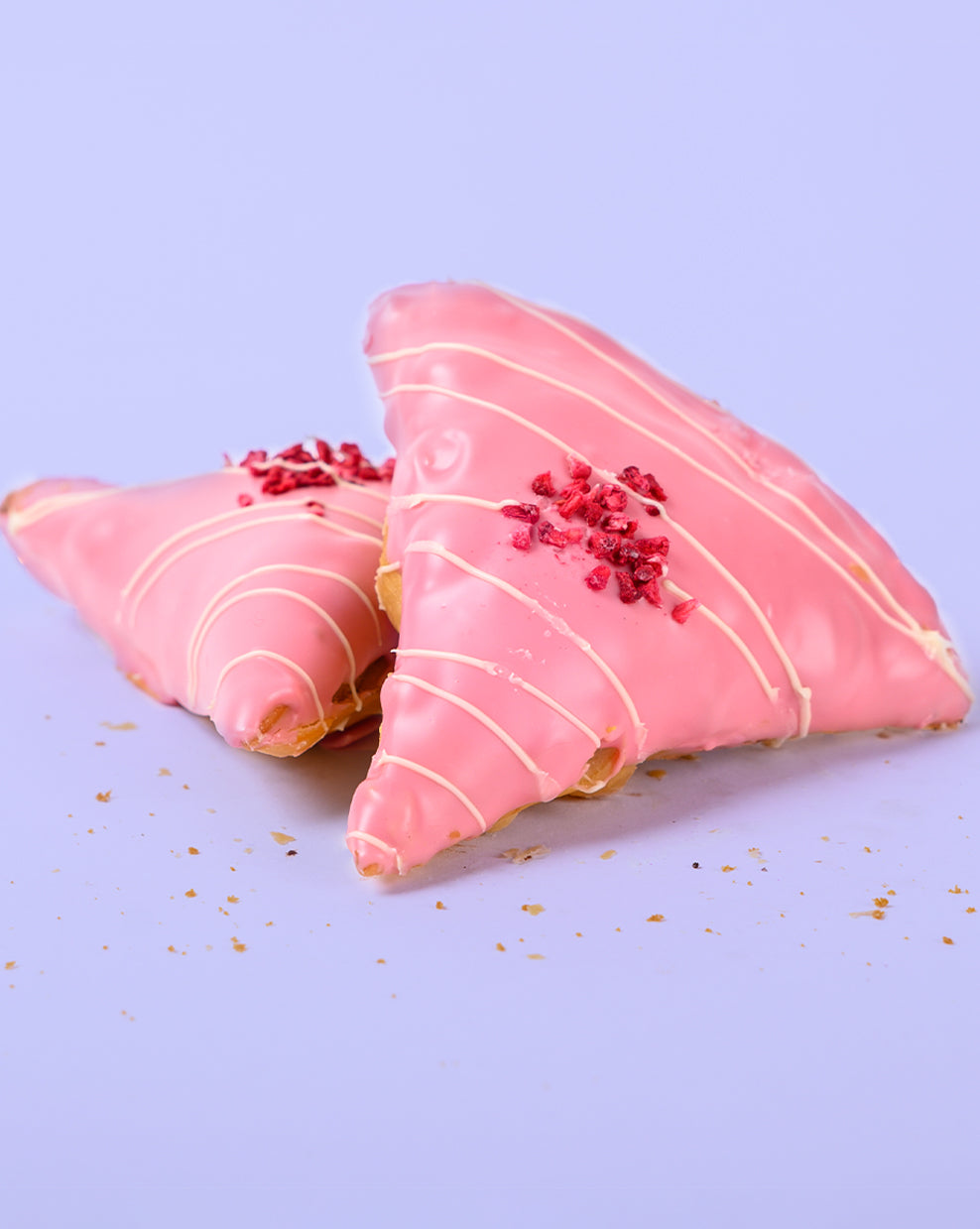 PINKY AND THE BRAIN SAMOSA